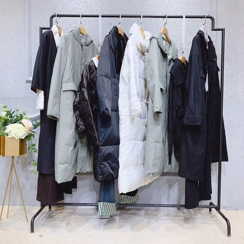 艾格（Etam）與四川高檔女裝品牌 低價位加盟與羽絨服零售市場策略探析